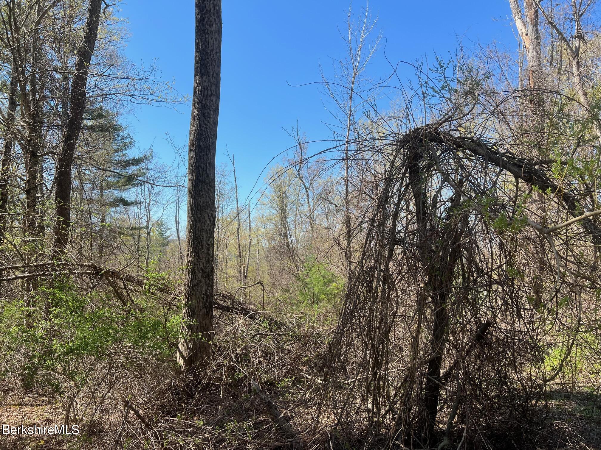 1 Housatonnuck Road Stockbridge, MA 01262 - Photo 5 of 7