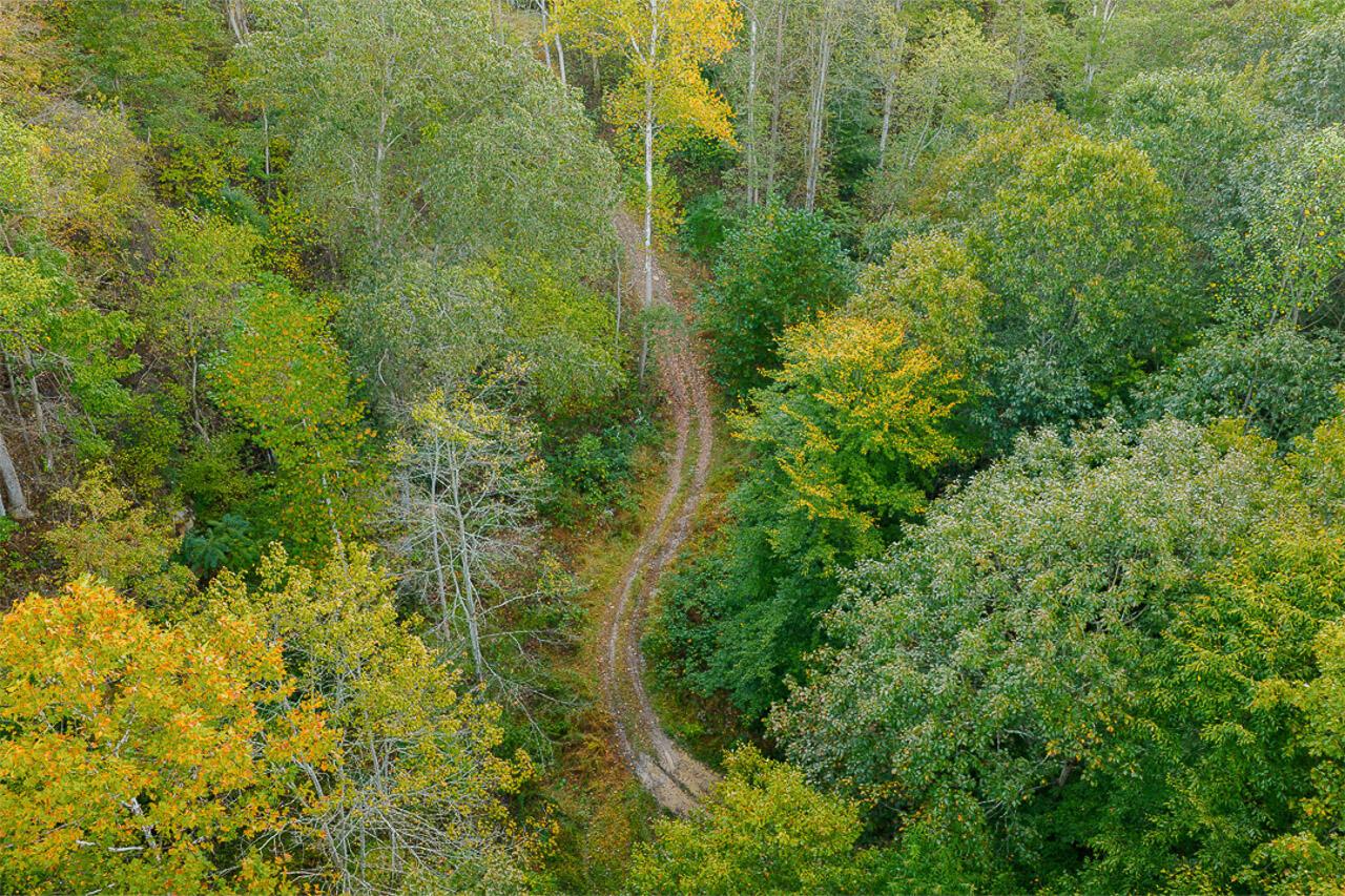 21995 Harrons Ridge Road Dexter City, OH 45727 - Photo 8 of 32 8
