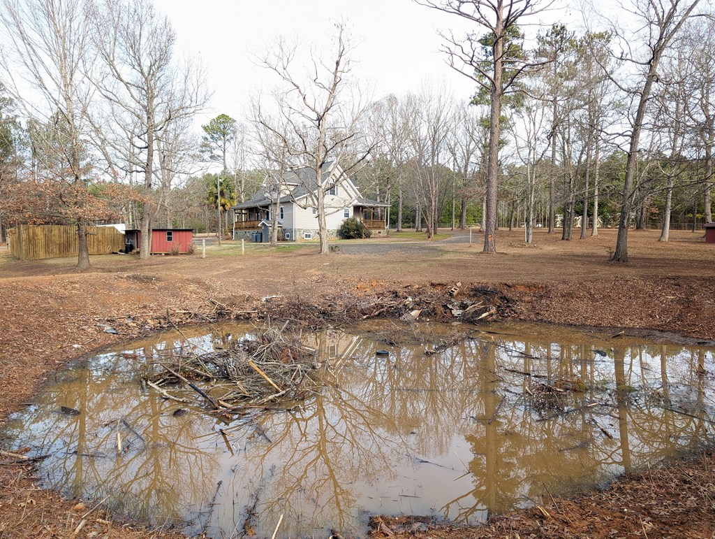 112 Kneece Road Bradley, SC 29819 - Photo 40 of 49