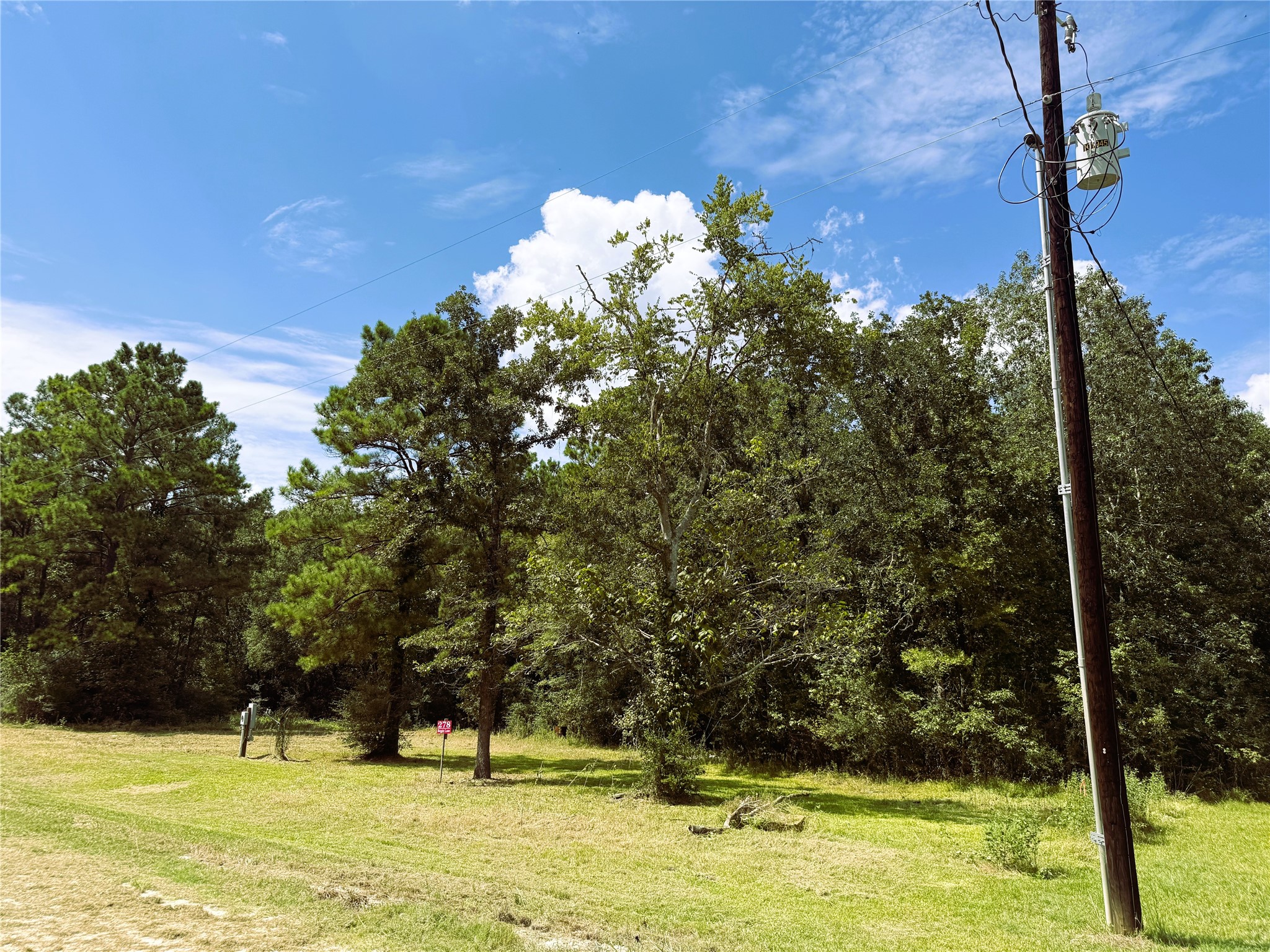 278 Reggie Lane Trinity, TX 75862 - Photo 10 of 16