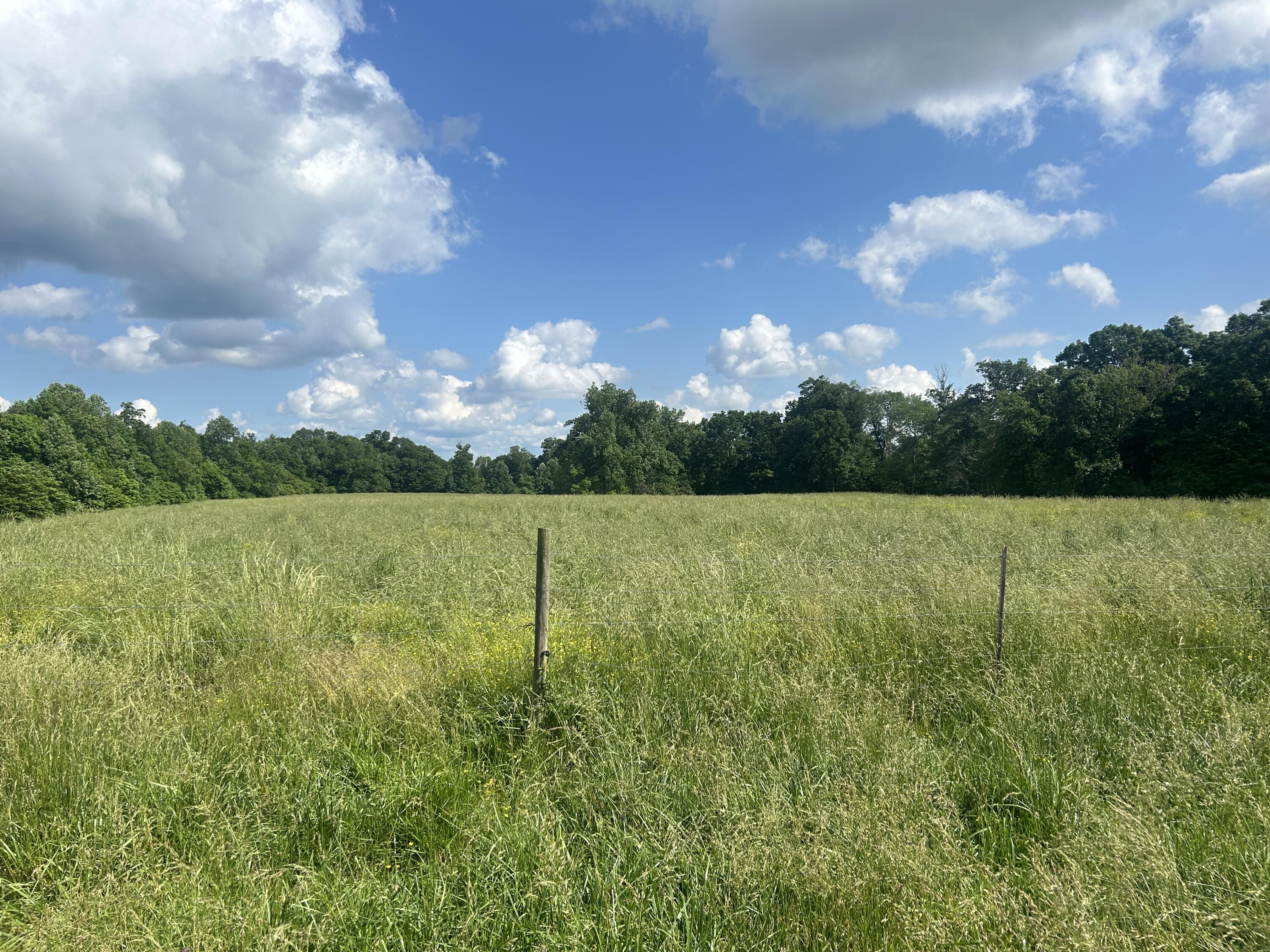 9999 Gosser Ridge Road Russell Springs, KY 42642 - Photo 2 of 42 FArm Russell Co 5