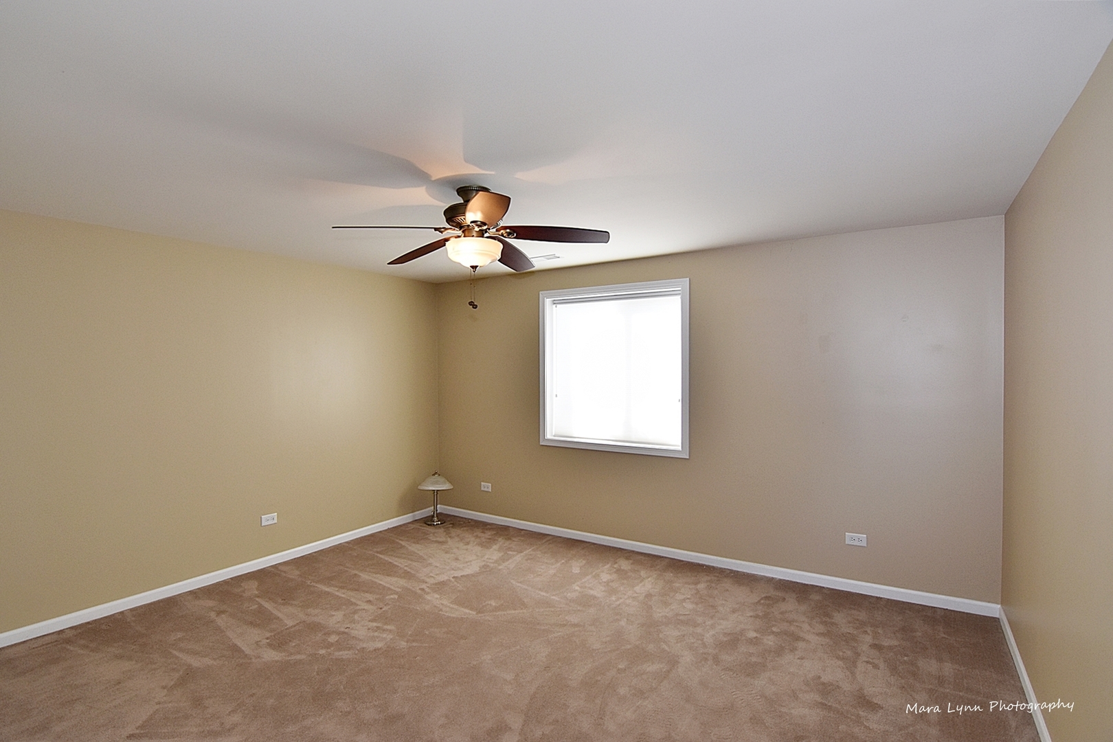 1105 Freedom Road Elburn, IL 60119 - Photo 15 of 23 Gallery Image 15