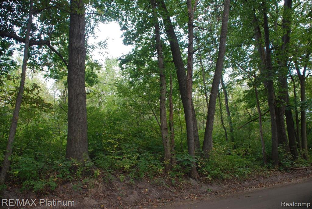 0 Falk Road Holly, MI 48442 - Photo 2 of 4
