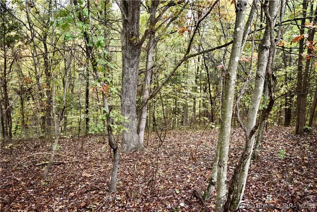 $199,900 | 3686 South Hatfield Road, English, IN 47118