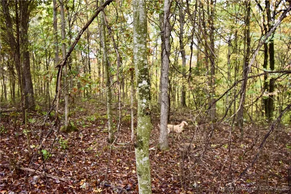 $175,000 | 3686 South Hatfield Road, English, IN 47118