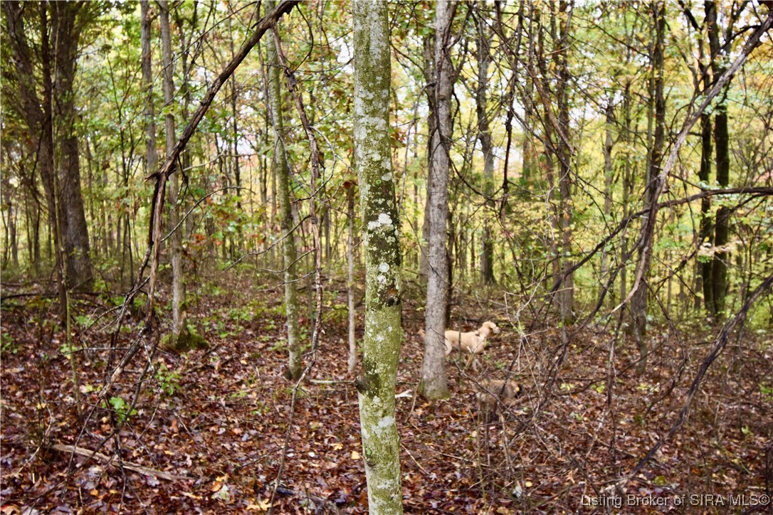 3686 South Hatfield Road English, IN 47118 - Photo 19 of 32