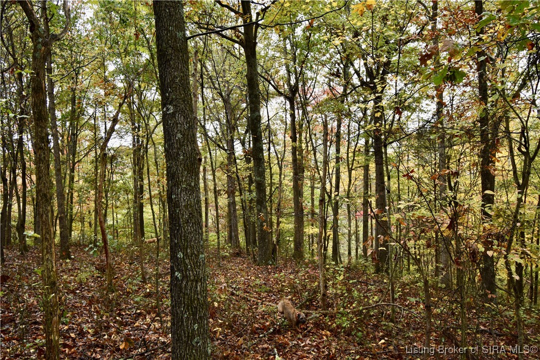 3686 South Hatfield Road English, IN 47118 - Photo 21 of 32