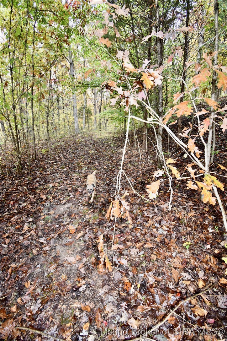 3686 South Hatfield Road English, IN 47118 - Photo 24 of 32