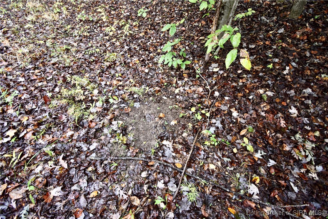 3686 South Hatfield Road English, IN 47118 - Photo 25 of 32