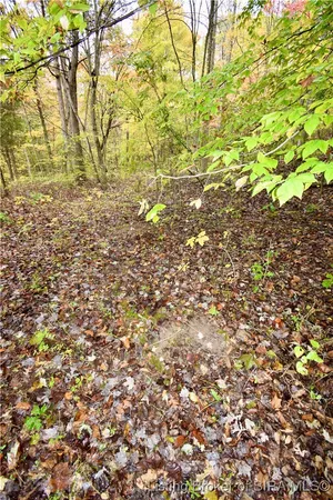 $175,000 | 3686 South Hatfield Road, English, IN 47118