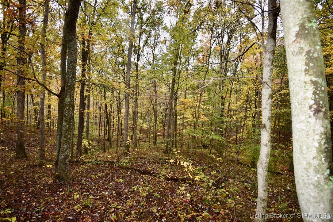 3686 South Hatfield Road English, IN 47118 - Photo 28 of 32