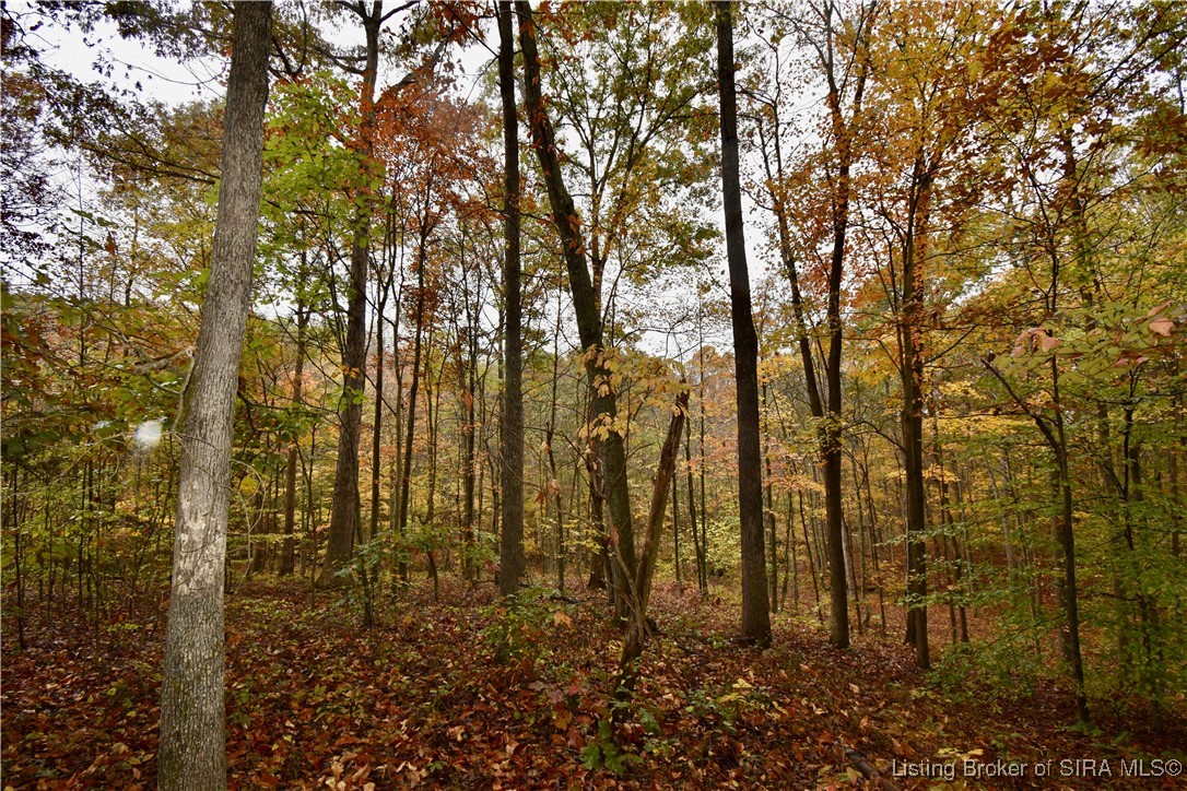 3686 South Hatfield Road English, IN 47118 - Photo 29 of 32