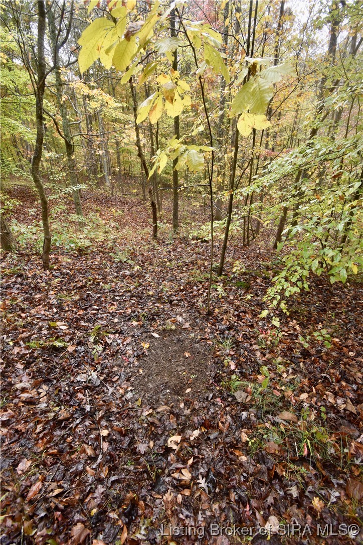 3686 South Hatfield Road English, IN 47118 - Photo 30 of 32