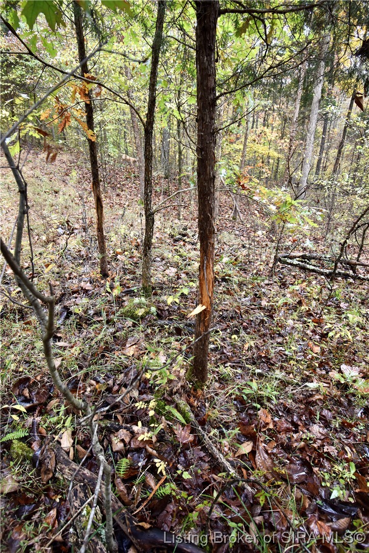 3686 South Hatfield Road English, IN 47118 - Photo 31 of 32