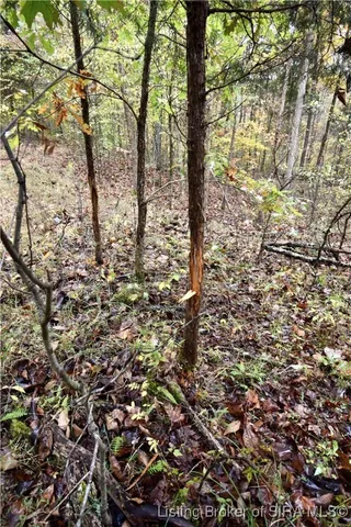 $199,900 | 3686 South Hatfield Road, English, IN 47118