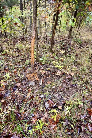 $175,000 | 3686 South Hatfield Road, English, IN 47118