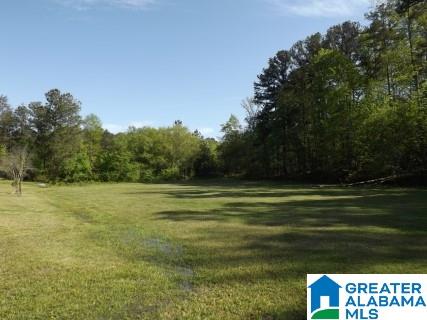 748 Will Keith Road Trussville, AL 35173 - Photo 12 of 44