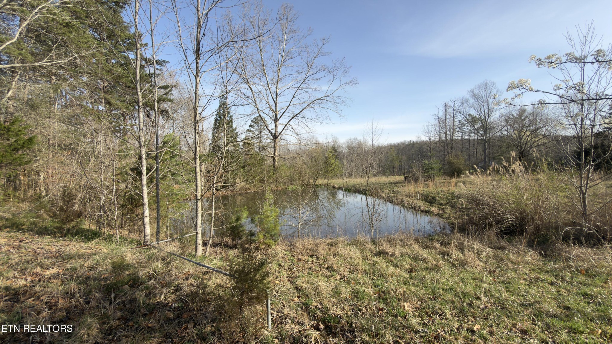 577 Blizzard Mines Road Harriman, TN 37748 - Photo 31 of 41 Gallery Image 31