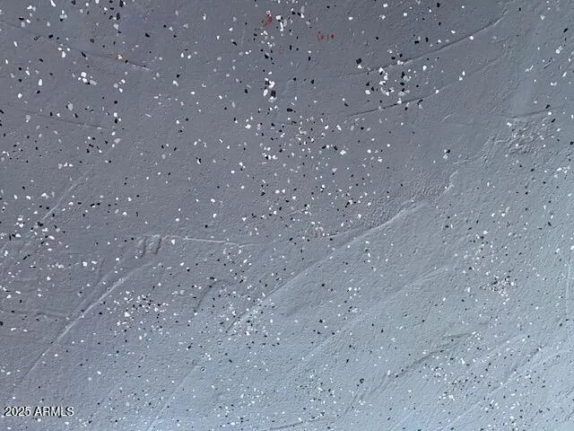 a room that has a plant in it