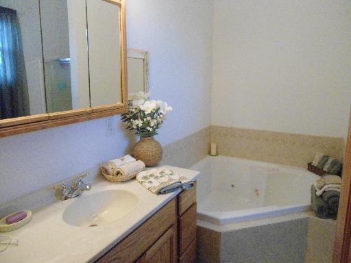 23319 Lucas Road DeKalb, IL 60115 - Photo 8 of 14 a bathroom with a sink and a bathtub