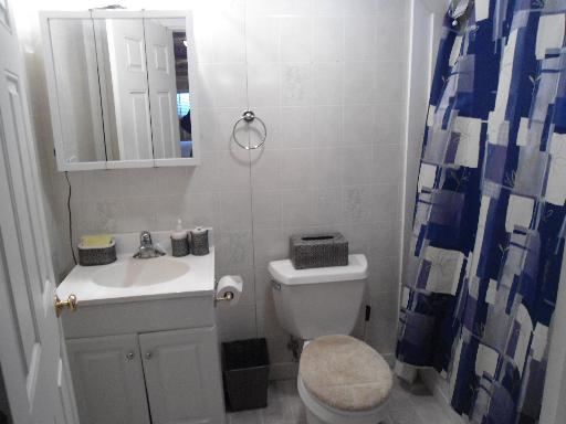 23319 Lucas Road DeKalb, IL 60115 - Photo 10 of 14 a bathroom with a toilet sink and mirror