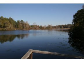 0 Telfair Pond Road Waynesboro, GA 30830 - Photo 1 of 1 Main View