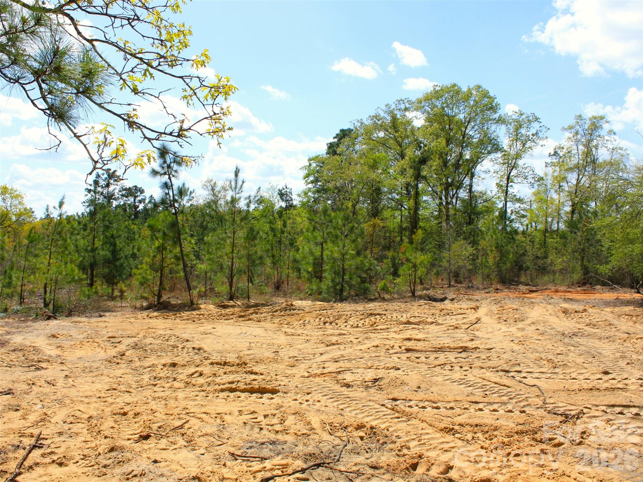 0 McQueen Road Patrick, SC 29584 - Photo 21 of 25