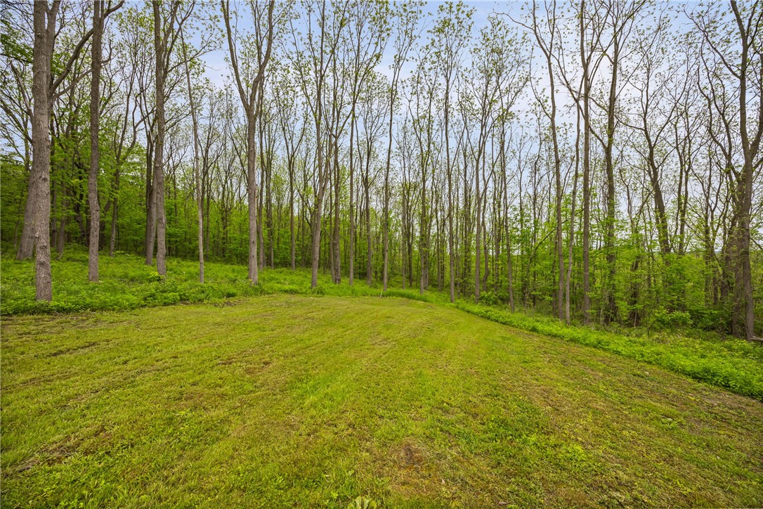 9380 Big Tree Road Richmond, NY 14466 - Photo 2 of 25