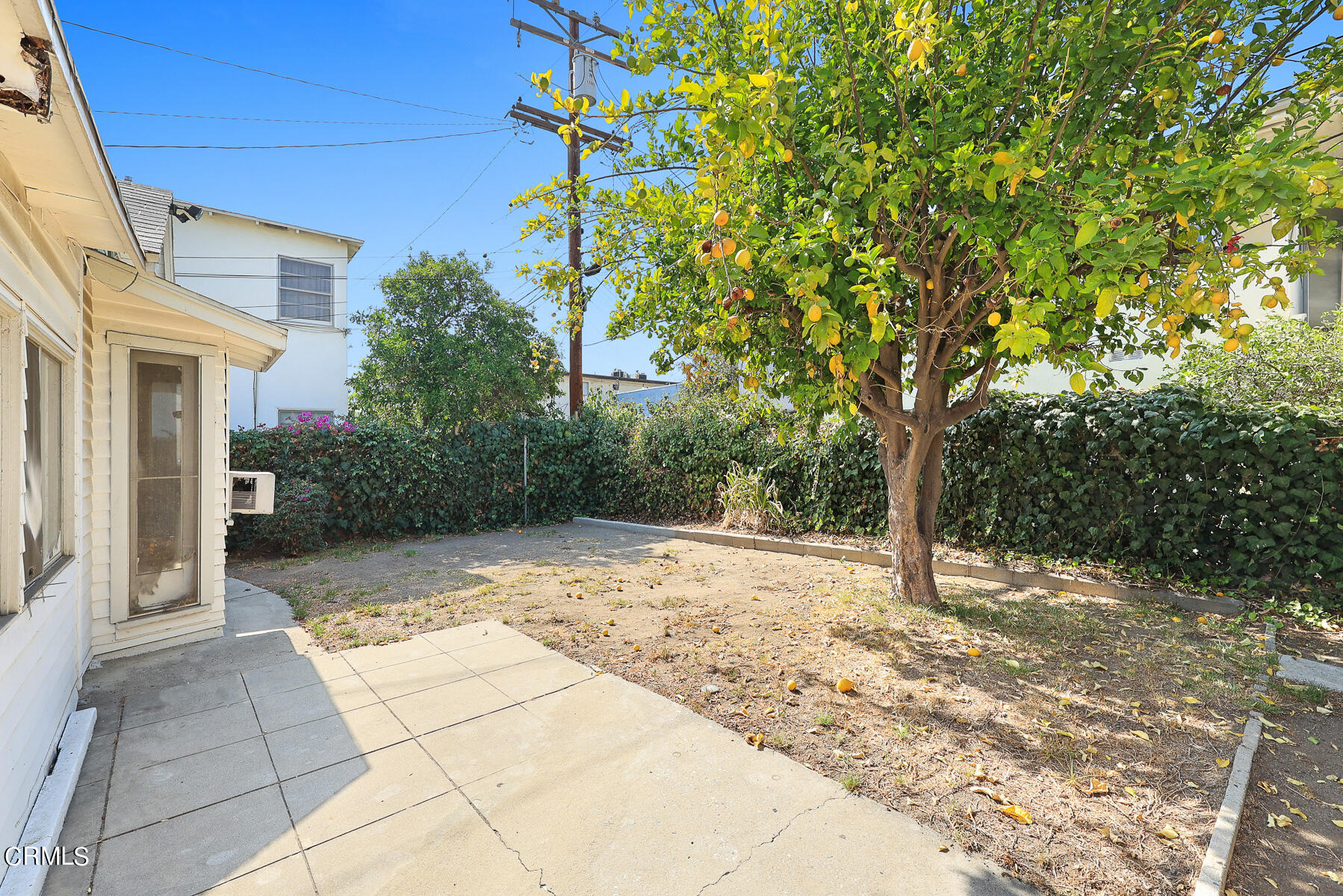1159 Western Avenue Glendale, CA 91201 - Photo 23 of 52 a view of a yard with trees