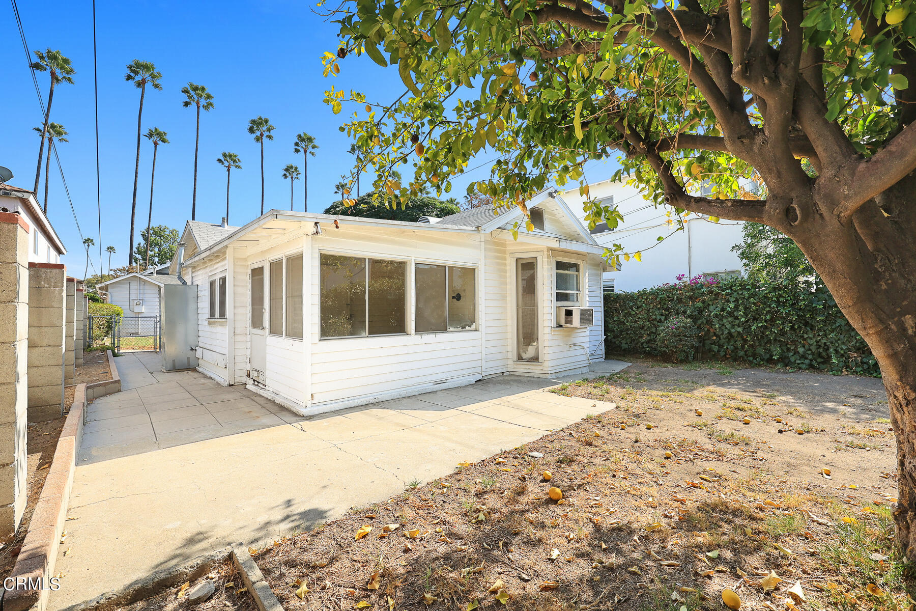 1159 Western Avenue Glendale, CA 91201 - Photo 27 of 52 a view of a large white house with a large tree in front of it