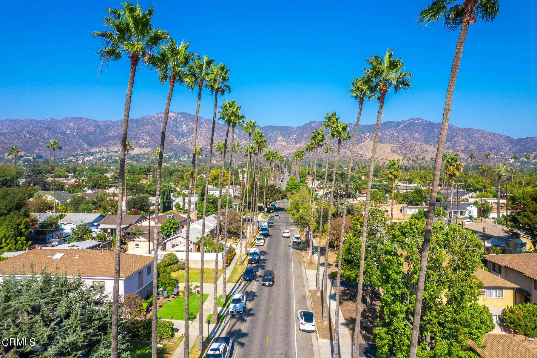 1159 Western Avenue Glendale, CA 91201 - Photo 52 of 52 a view of a city with palm trees
