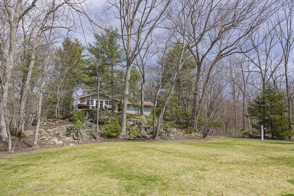 216 Country Way Needham, MA 02492 - Photo 4 of 42