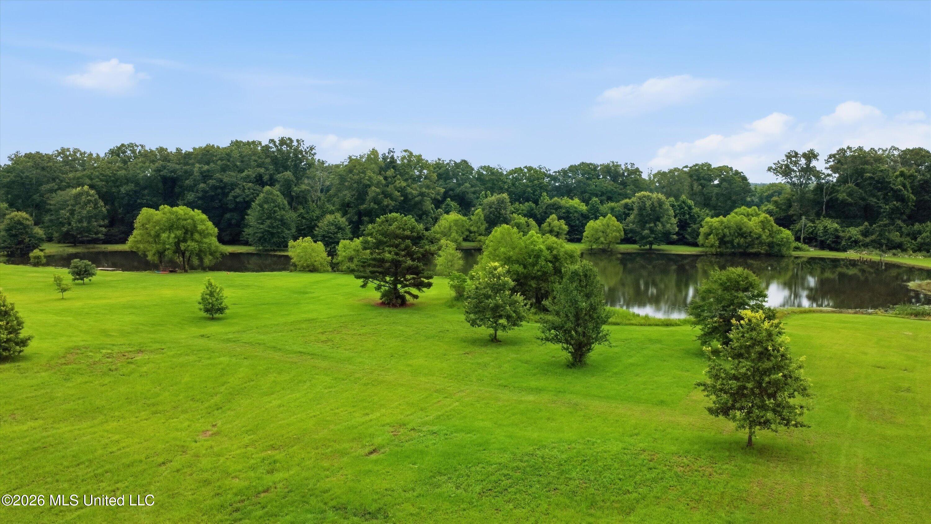 142 Iron Oak Ridge Brandon, MS 39042 - Photo 16 of 26 20-142_Iron_Oak_Ridgee_021