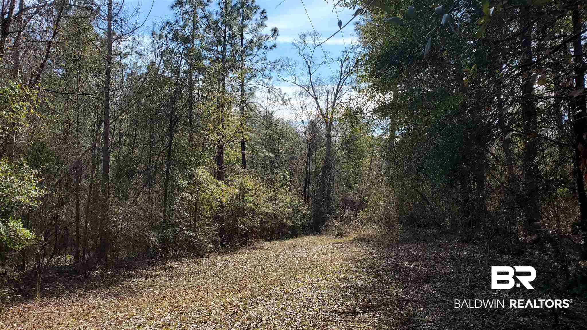 23900 McCoy Road Perdido, AL 36562 - Photo 7 of 23