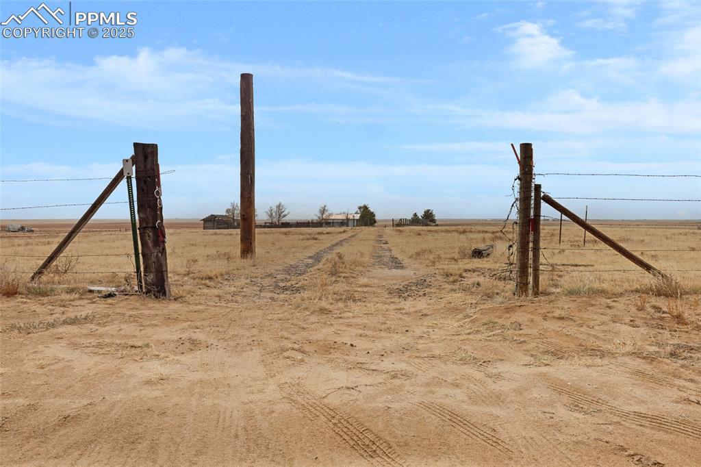 41305 Gieck Road Rush, CO 80833 - Photo 2 of 8 View of yard featuring a rural view