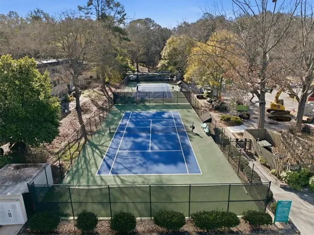 a view of a yard with plants and large trees