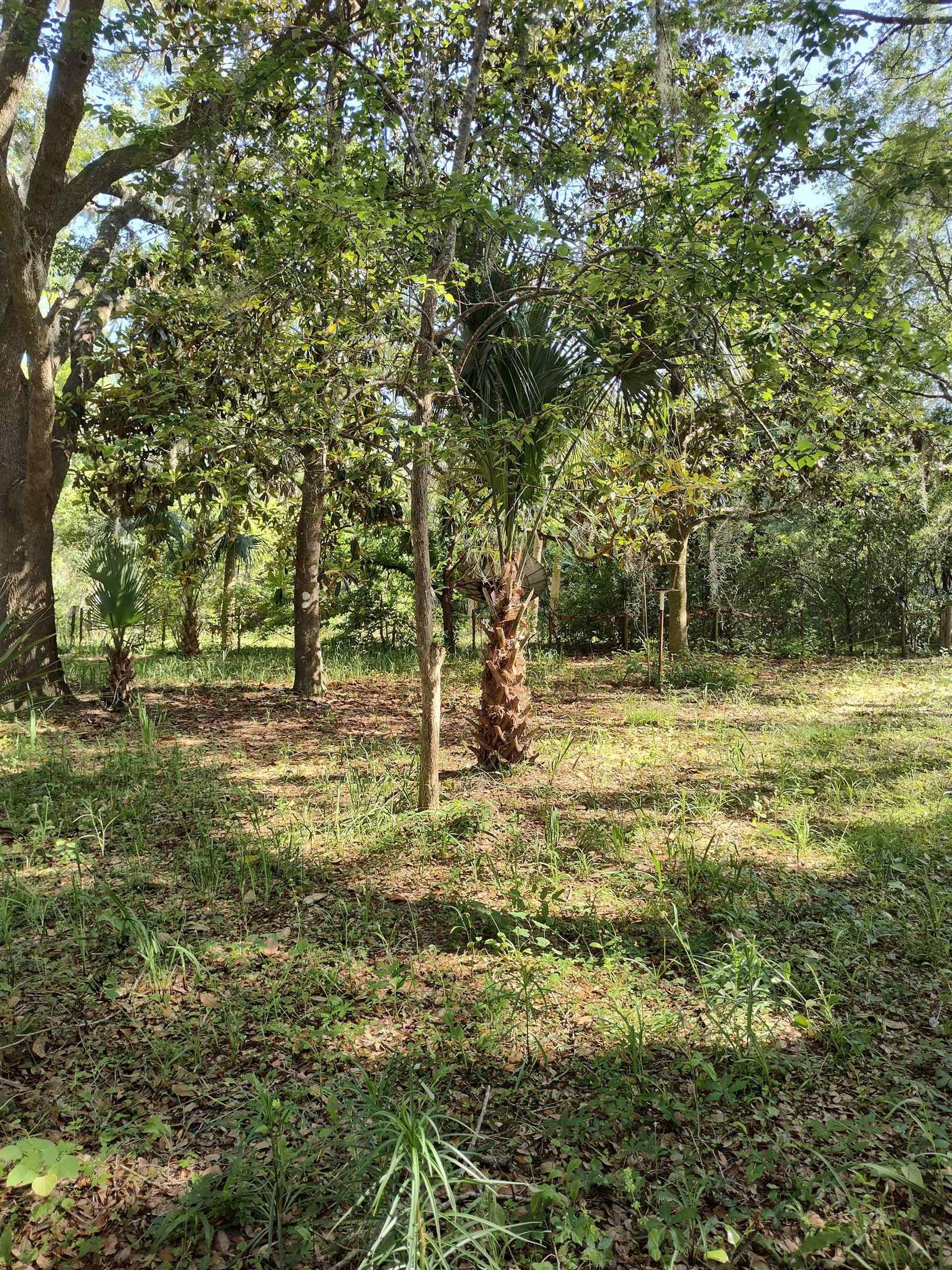 1618 Golf Course Road Perry, FL 32348 - Photo 16 of 16