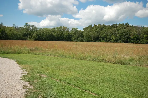 a view of outdoor space and yard