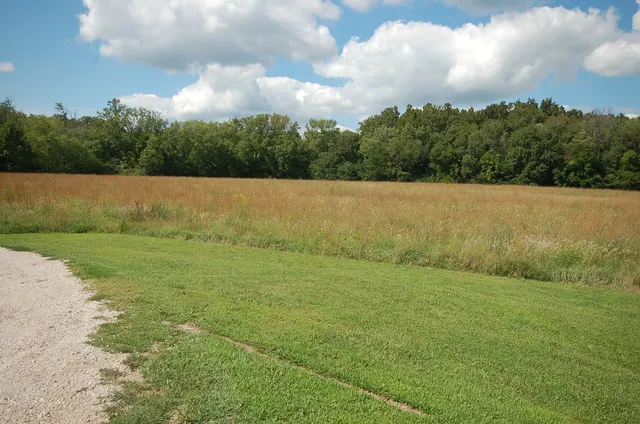 a view of outdoor space and yard