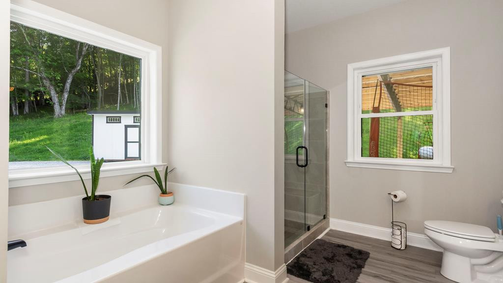 1651 Winding Stairs Road Topton, NC 28781 - Photo 42 of 100