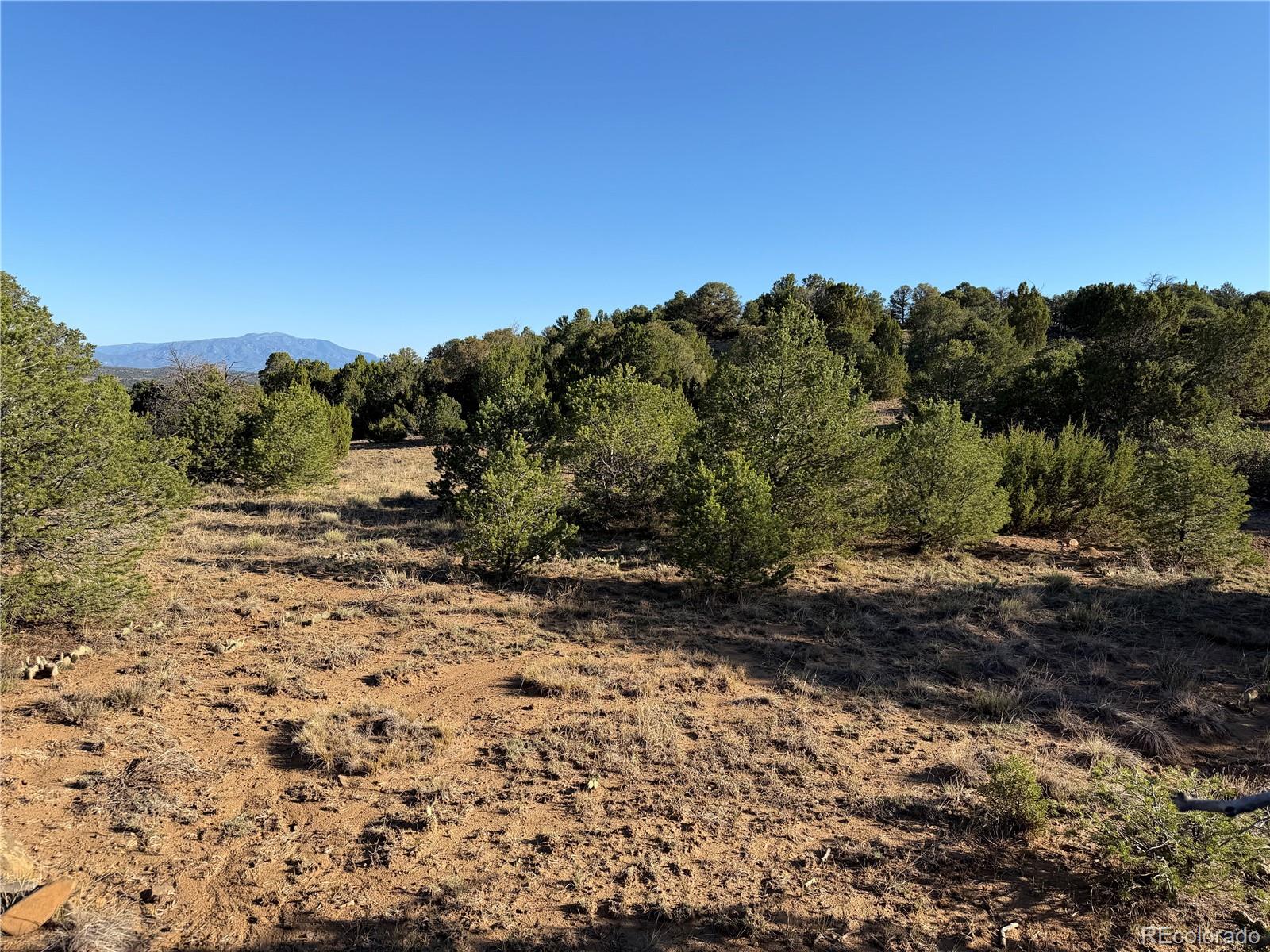 Lot 141 River Ridge Ranch Walsenburg, CO 81089 - Photo 9 of 28 Gallery Image 9