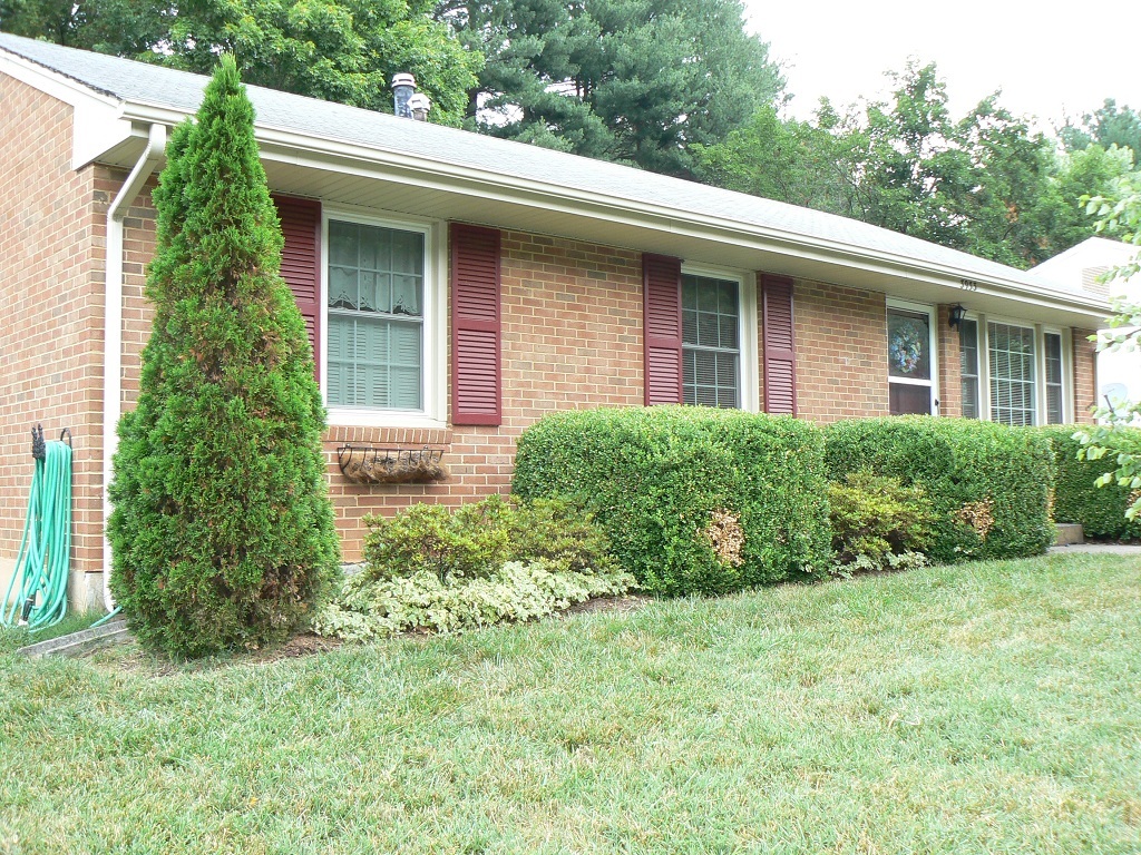 3933 Meadowlark Road Roanoke, VA 24018 - Photo 3 of 21 Front of Home