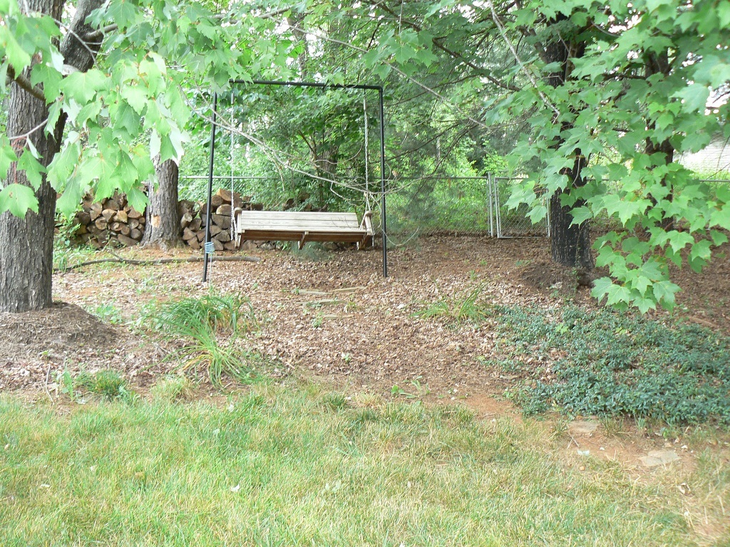3933 Meadowlark Road Roanoke, VA 24018 - Photo 5 of 21 Backyard