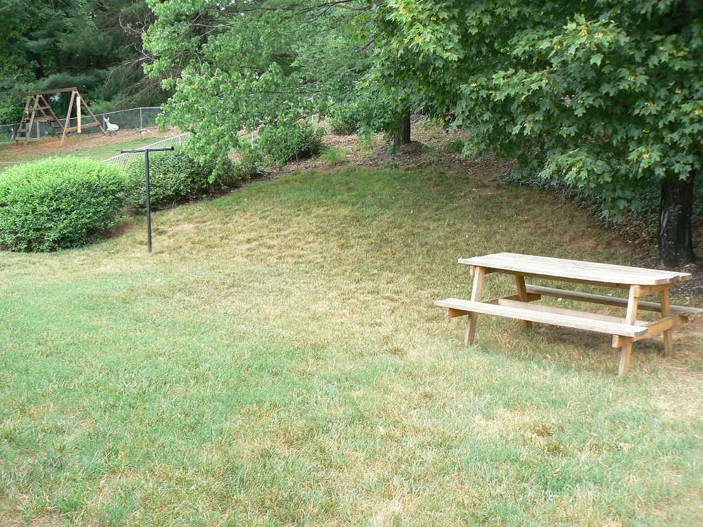 3933 Meadowlark Road Roanoke, VA 24018 - Photo 6 of 21 Backyard