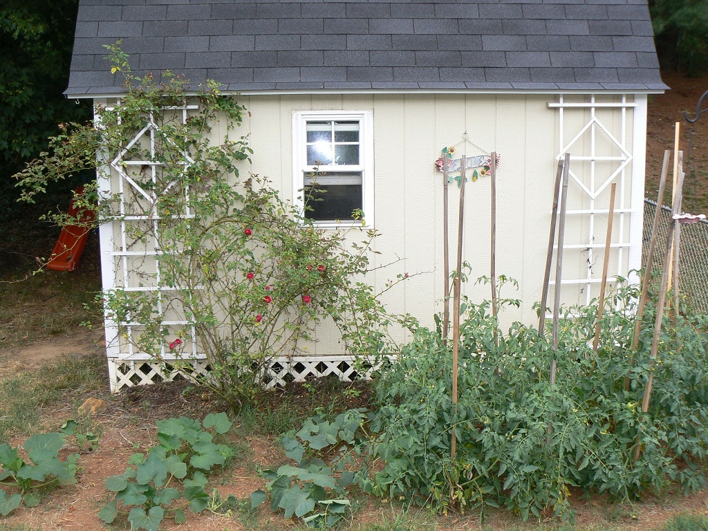 3933 Meadowlark Road Roanoke, VA 24018 - Photo 8 of 21 Garden