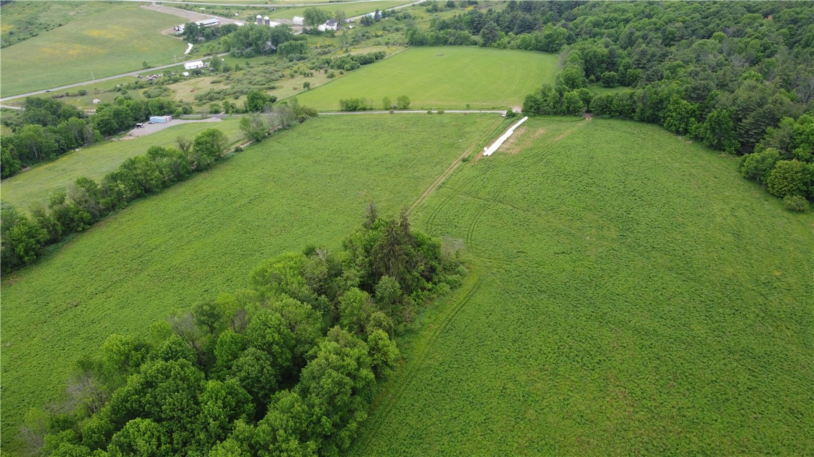 127 White Store Road Norwich, NY 13815 - Photo 6 of 8