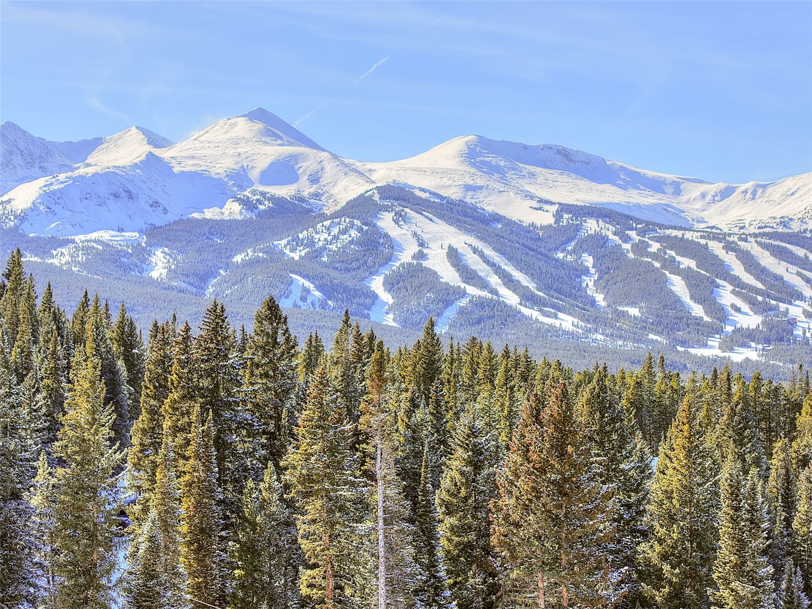 3362 Boreas Pass Road Breckenridge, CO 80424 - Photo 12 of 17 a view of a of a building