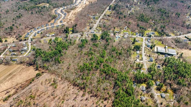 a view of a yard with plants and large trees