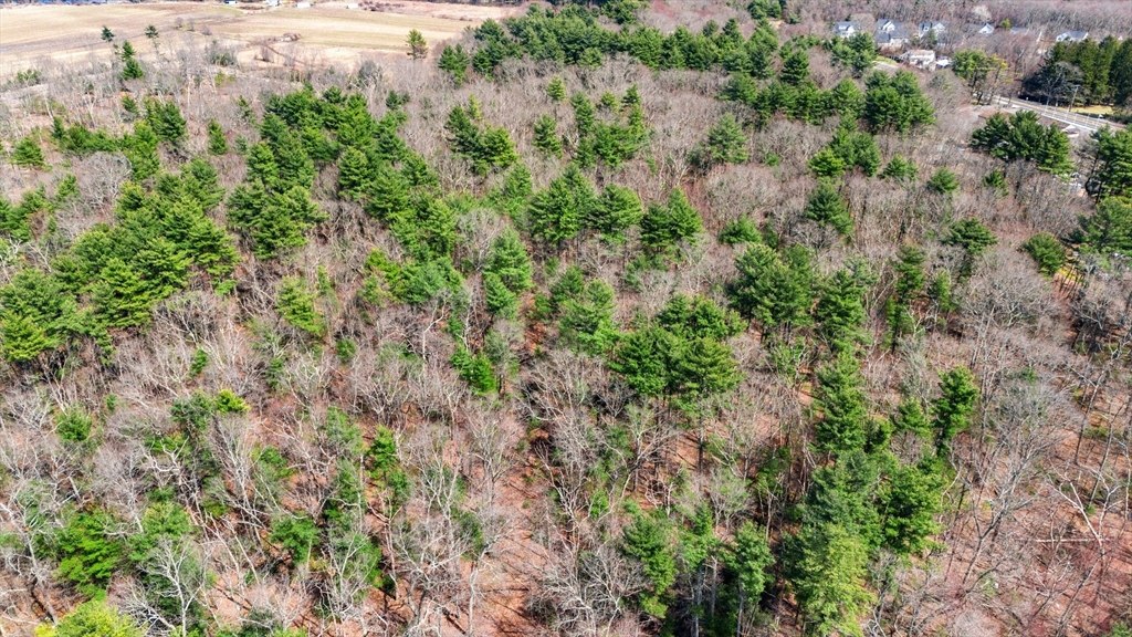 0 North Street Bellingham, MA 02019 - Photo 3 of 20