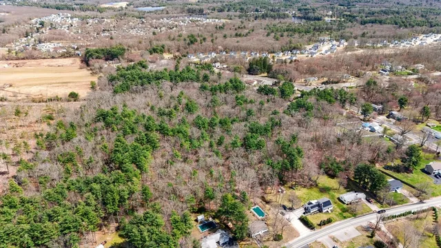 a view of a yard with plants and large trees